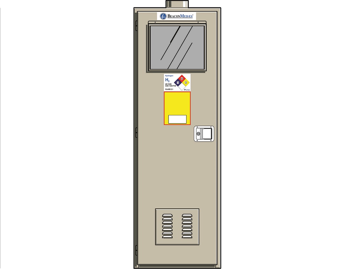 Gas Cabinets